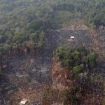 La deforestación amenaza el ecosistema y la producción de alimentos. RTVE